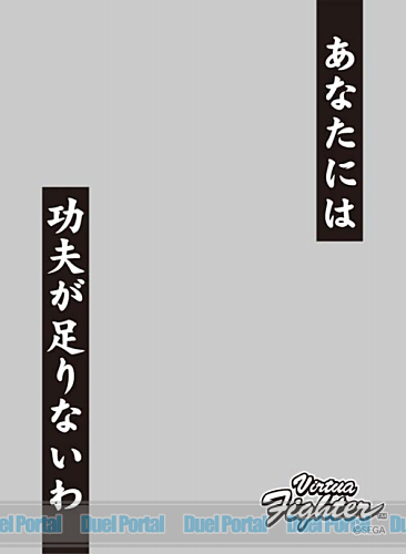 キャラクタースリーブプロテクター 【世界の名言】　バーチャファイター パイ・チェン 「あなたには功夫が足りないわ」