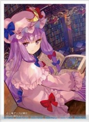 カーテン魂より「東方Project」藤ちょこ先生描き下ろしイラストの