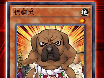 遊戯王ocg 公式twitterで レイジング テンペスト 収録カード 横綱犬 を公開 Duelportal